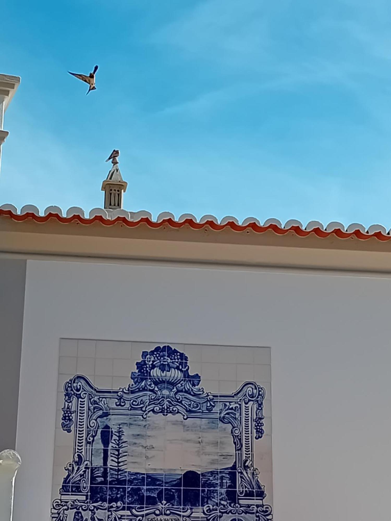 Villa Casa Madeira, Boutique Lagos