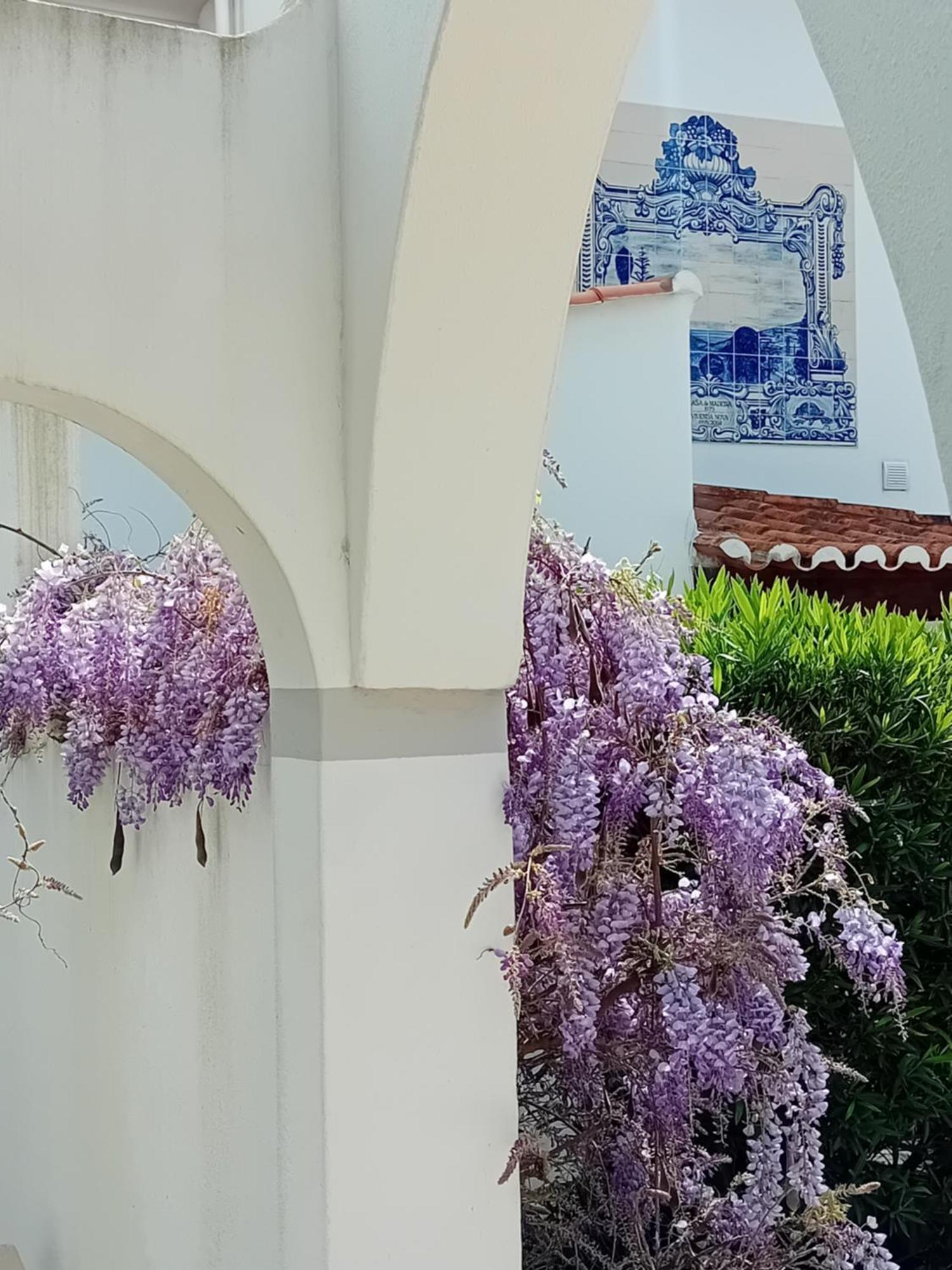 Casa Madeira, Boutique